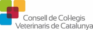 FormacioCCVC